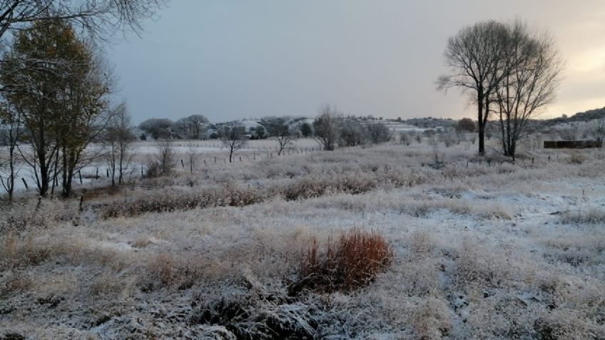 La primer tormenta invernal de 2022 deja decenas de afectados en Chihuahua por la nieve