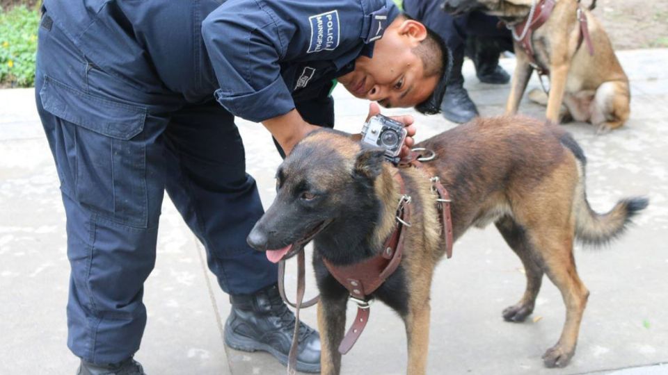 La perra integró el cuerpo de Binomios Caninos de la Policía de Proximidad (Proxpol) del municipio de Escobedo.