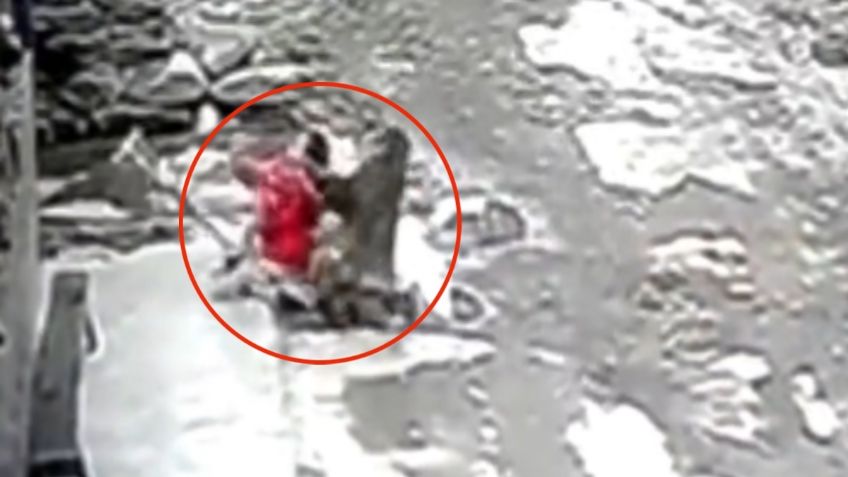 VIDEO | Mono ataca y trata de secuestrar a niña de 3 años en China