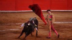 Exigen a la Corte no regresar las corridas de toros: "Es un acto de igual naturaleza de violencia"