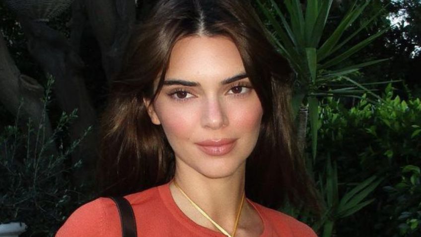 Kendall Jenner sacudió la red con poco a la imaginación