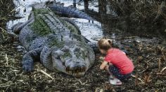 Tragedia en Costa Rica: un niño de 8 años fue devorado por un cocodrilo