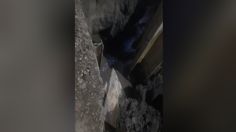 VIDEO: el desesperado ladrido de dos perritos que cayeron en una zanja en Iztacalco