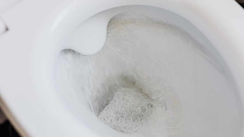 Con vinagre blanco, el truco definitivo para quitar el sarro de la taza del baño