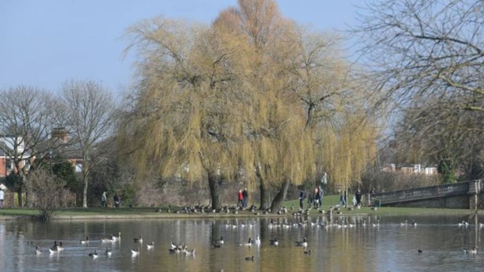 Otros cuatro menores fallecieron por haber resbalado en el lago, por ello autoridades exhortan a tutores a cuidar a sus infantes.