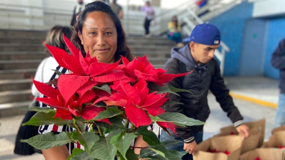 La nochebuena también se está vendiendo en estaciones del Metro