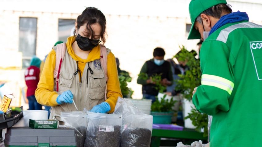 Sedema y UNAM desarrollan suelos artificiales aprovechando el cascajo