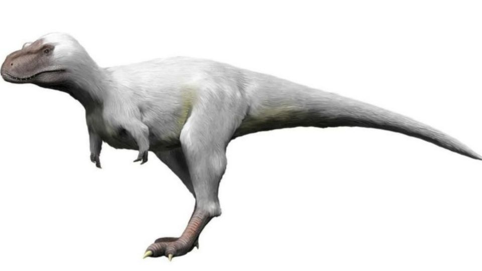 Imagen ilustrativa del Nanuqsaurus, un dinosaurio  de grandes dimensiones y que pesaría más que dos osos polares machos juntos.
