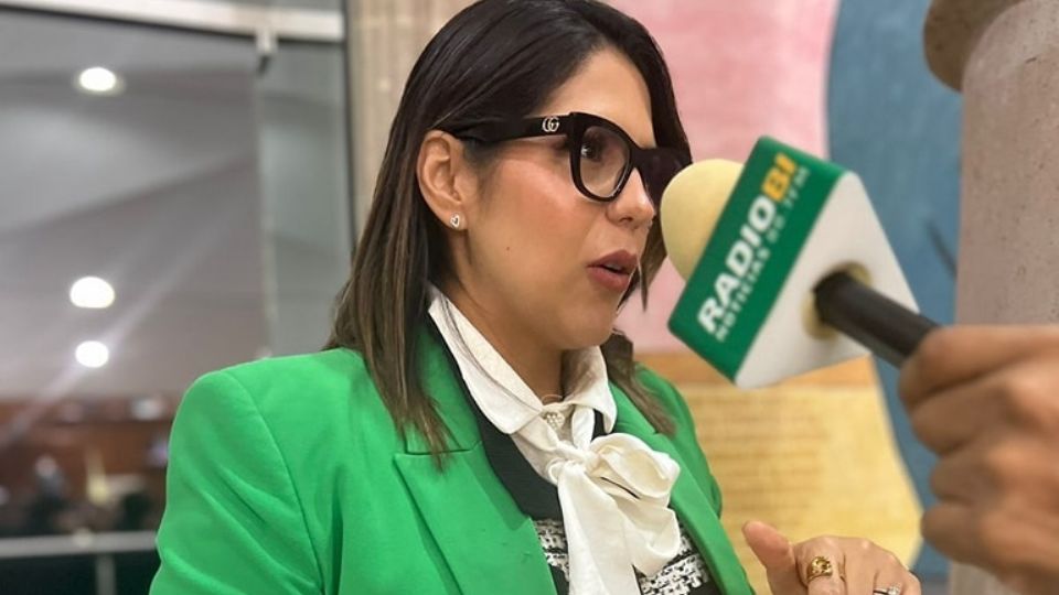 Diputada en el Congreso de Aguascalientes