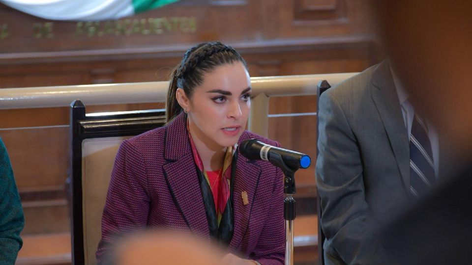 Diputada en el Congreso de Aguascalientes