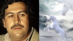 Los perturbadores regalos de Navidad de Pablo Escobar en una bolsa de terciopelo rojo y la leyenda del unicornio