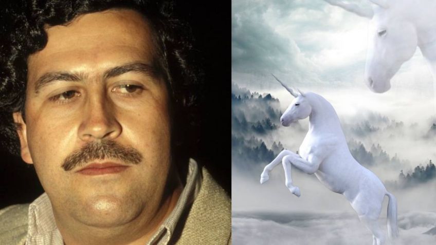 Los perturbadores regalos de Navidad de Pablo Escobar en una bolsa de terciopelo rojo y la leyenda del unicornio