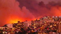 Viña del Mar: incendio forestal consume más de 400 casas y cientos de hectáreas de vegetación