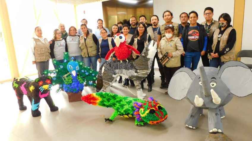 Preparan fiestas decembrinas para la fauna silvestre de zoológicos de la CDMX