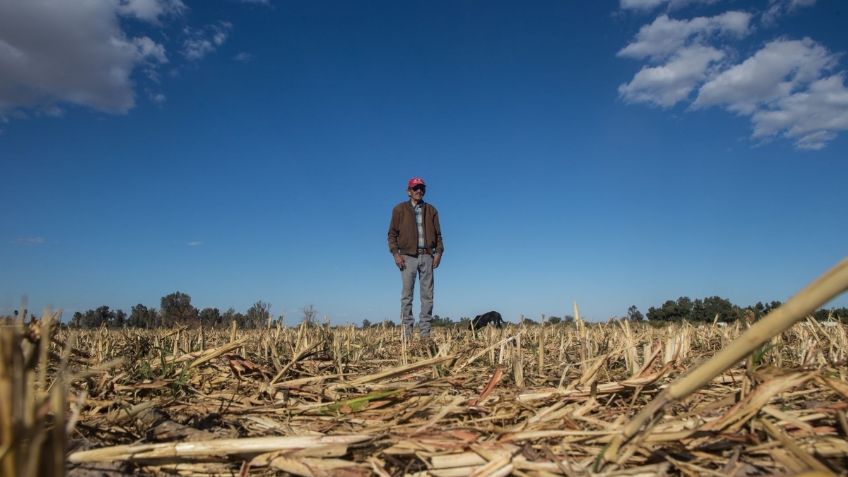 Crisis del Agua en México: así afecta la producción de cerveza a la ecología