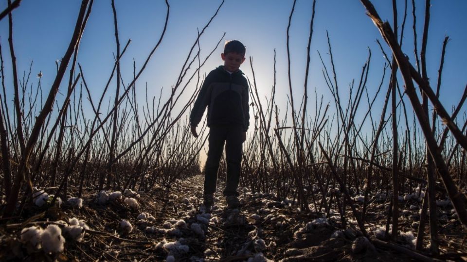 Prevén altas temperaturas generalizadas, en ciudad Altamirano se alcanzaron 44 grados
