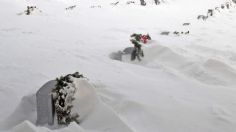 Sin luz, vuelos retrasados y carreteras bloqueadas han provocado las fuertes nevadas en Estados Unidos