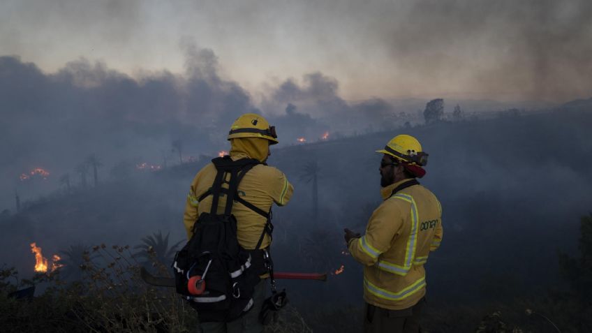 En fotos: así luce el feroz incendio forestal de Viña del Mar que arrasa con casas y vegetación