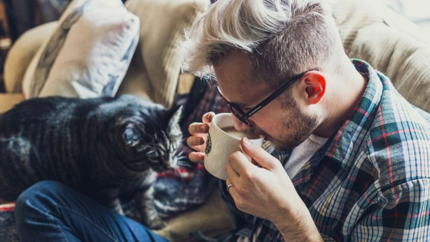 5 trucos infalibles para eliminar el pelo de tus mascotas de los muebles y la ropa