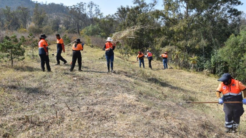 CDMX: Iztapalapa realiza trabajos de prevención de incendios en el Cerro de la Estrella