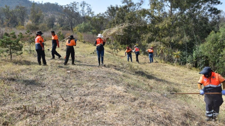 El Cerro de la Estrella presenta una situación difícil con la hierba que se torna vegetal combustible