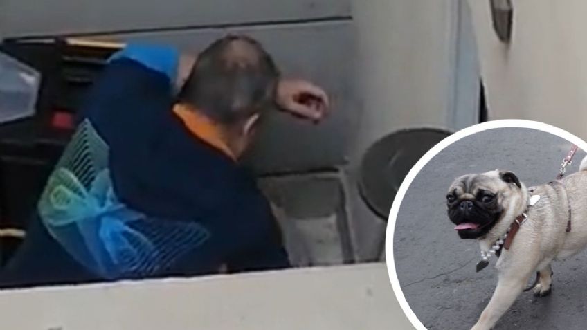 IMÁGENES SENSIBLES | Rescatan a perrita que fue captada en video cuando su dueño la maltrataba