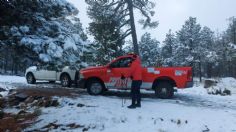 Nevadas alertan a familias veracruzanas asentadas en la región montañosa