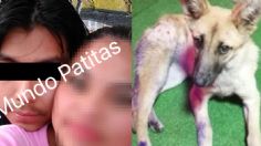 Justicia para "Waffle": identifican a los presuntos homicidas de la perrita en Milpa Alta