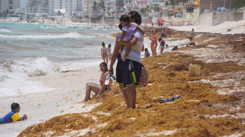 Lanzan proyecto contra sargazo en las costas del caribe mexicano