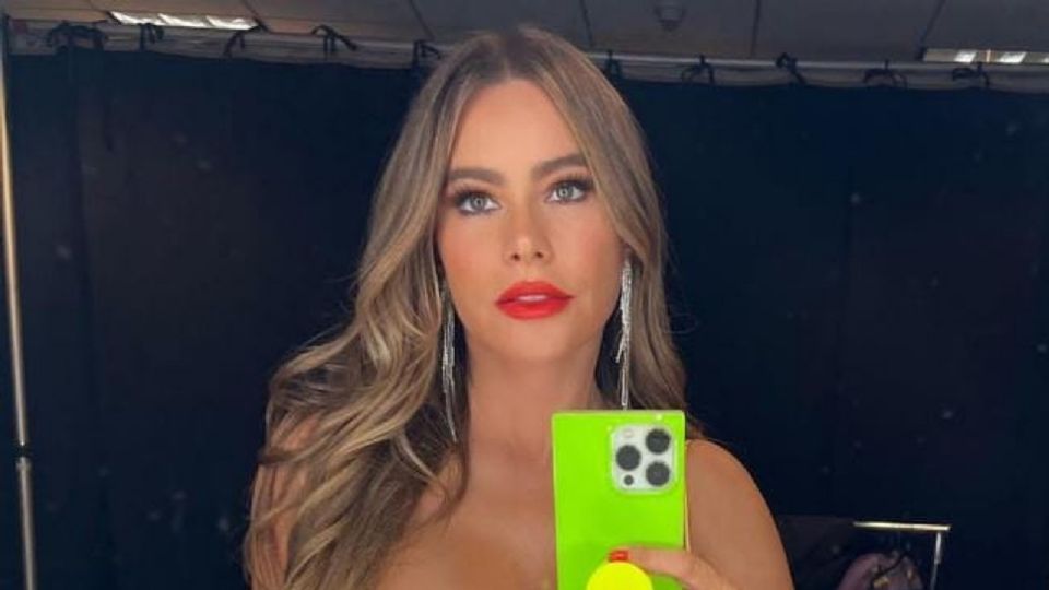 Sofía Vergara sorprendió a sus millones de fans con este look.