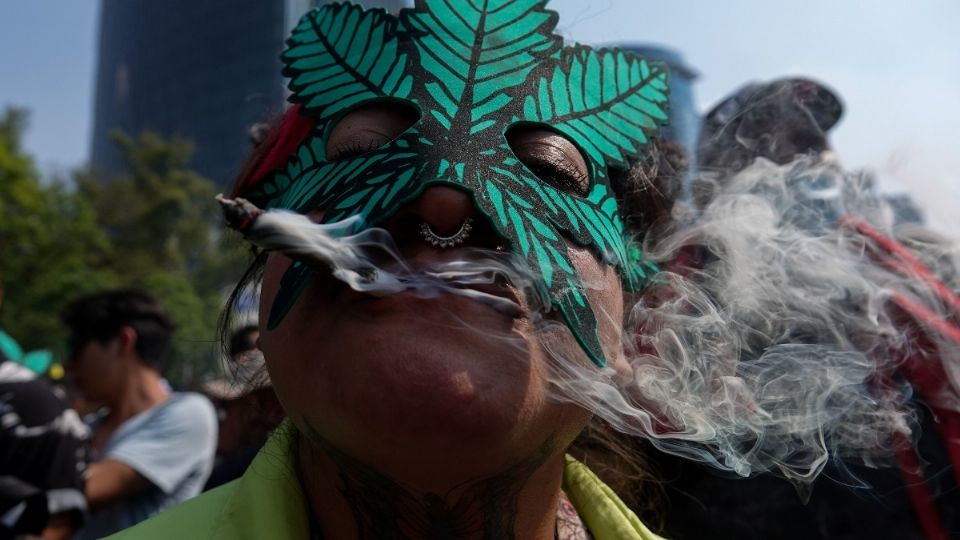 Mediante amparos para el consumo de marihuana con fines recreativos, ya hay tiendas que venden el producto