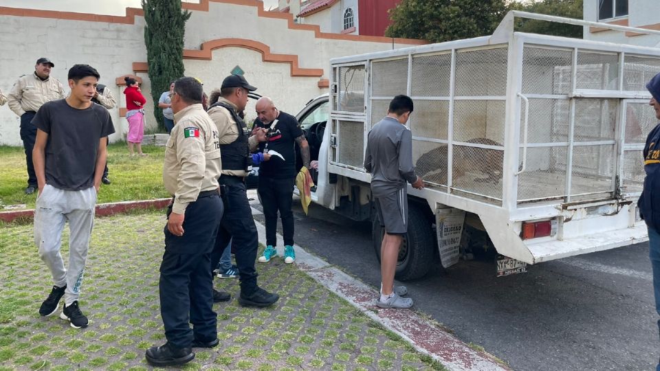 Tras recibir la llamada de auxilio de los vecinos, los elementos de PC municipal acudieron al inmueble ubicado en Sexta Sección de Villas del Real, donde constataron las deplorables condiciones en las que se encontraban los tres perros