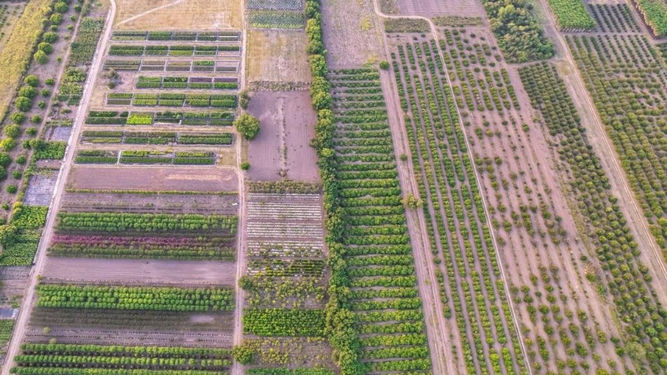 El Suelo de Conservación también es una fuente de trabajo para los capitalinos