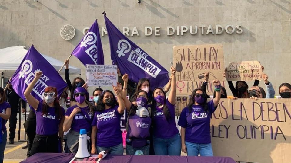 El documento fue presentado en la Cámara de Diputados por el Frente Nacional para la Sororidad y Defensoras Digitales