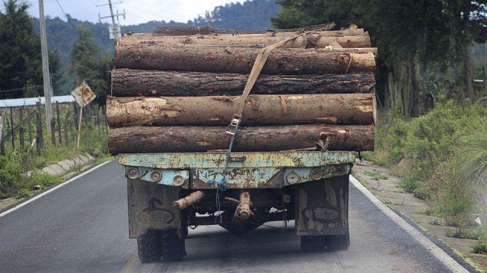 El texto atañe a otros productos como el aceite de palma, la madera, la carne bovina y el caucho