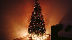 Extensiones de luz: 5 marcas que no debes comprar porque pueden incendiar tu árbol de Navidad