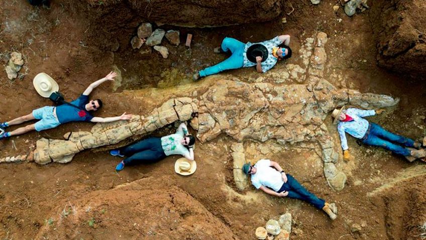 Hallan a un monstruo marino que vivió hace 100 millones de años, ¿es el Kraken?