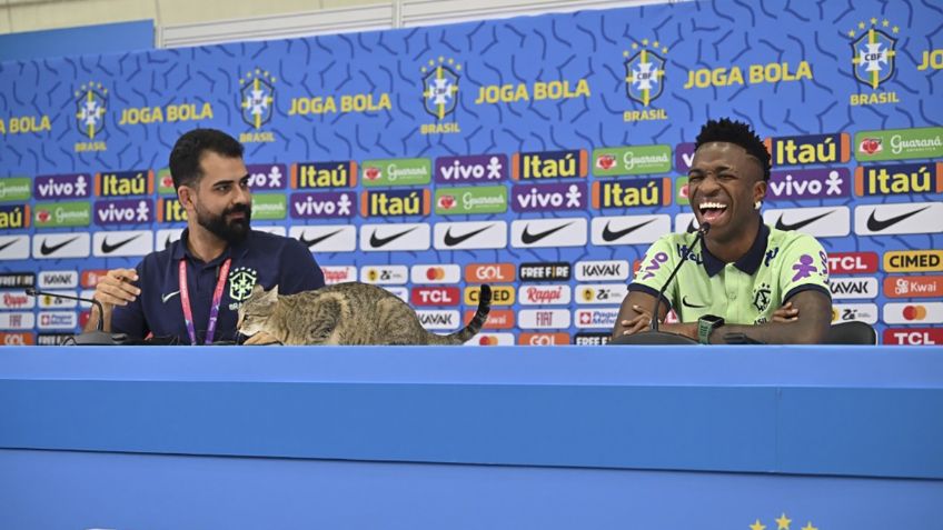 FOTOS: un gato interrumpe a Vinicius Junior en plena rueda de prensa de Qatar 2022