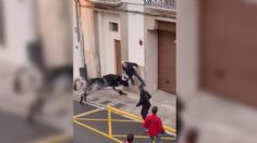 VIDEO: el horroroso ataque de un toro a un abuelito de 82 años