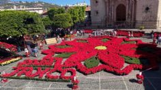 En Taxco está la Flor de Nochebuena más grande del mundo, un atractivo más para el turismo nacional e internacional