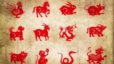 Horóscopo Chino fin de semana, así será la suerte de los signos del zodiaco el 15 y 16 de octubre