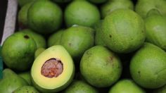 Cómo plantar un aguacate de manera sencilla