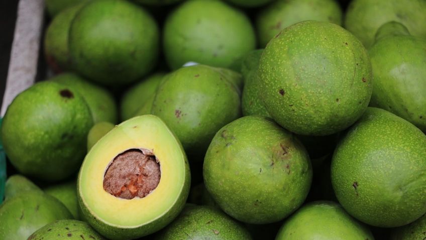 Cómo plantar un aguacate de manera sencilla