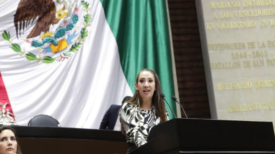 diputada Noemí Berenice Luna Ayala