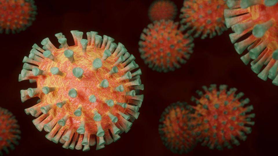 Expertos señalan que las personas fallecidas por coronavirus, presentaron cambios moleculares parecidos a los que ocurre con el Alzheimer. (Foto: Pixabay)