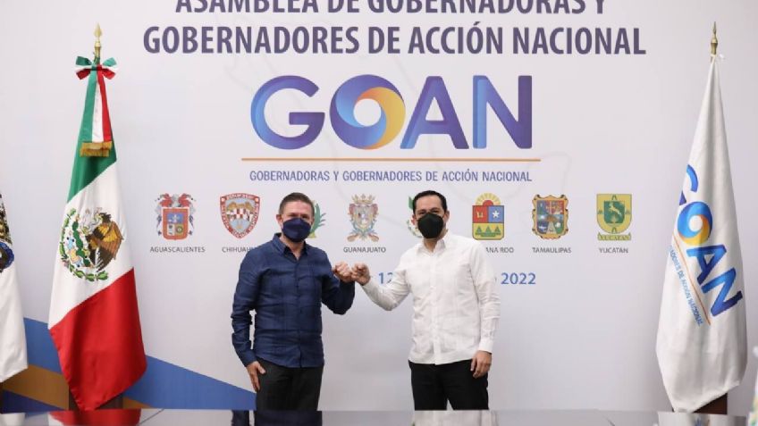 Mauricio Vila fue nombrado presidente de la GOAN