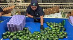 Aguacate mexicano gana en el Super Bowl LVI y conquista el mundo