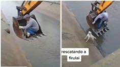 Rescatan a perrito con excavadora; estaba atrapado en canal de aguas negras