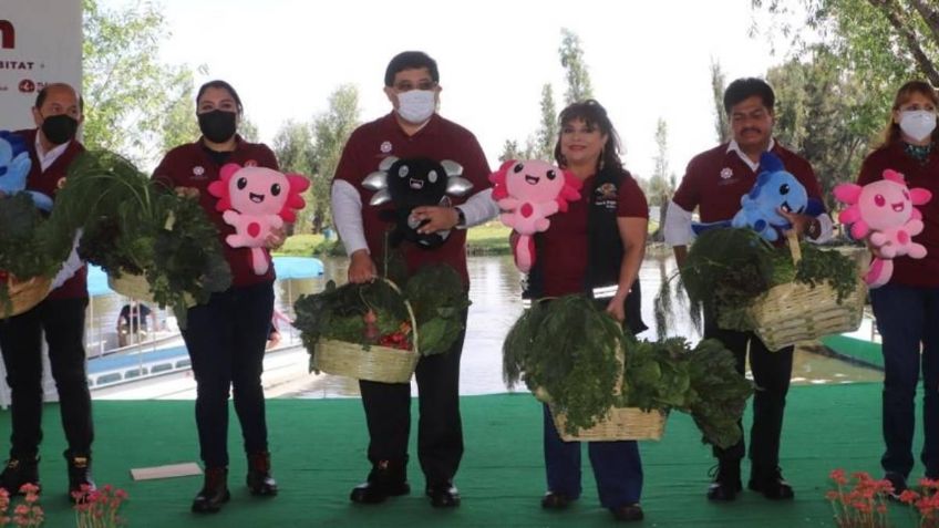 Alcaldes liberan ajolotes en Xochimilco para promover la conservación de la especie