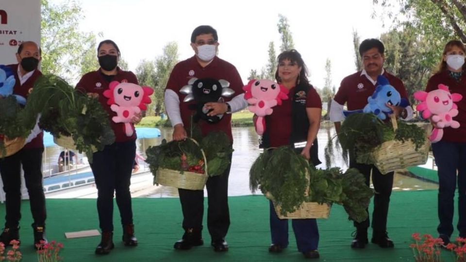 Alcaldes liberan ajolotes en Xochimilco para promover la conservación de la especie (Foto: Twitter/ @XochimilcoAl)